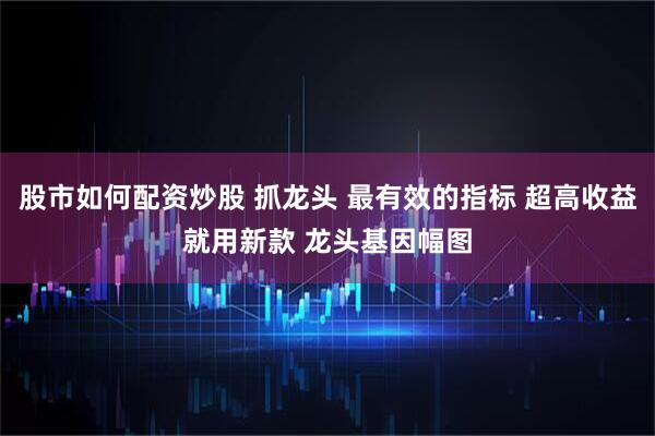 股市如何配资炒股 抓龙头 最有效的指标 超高收益就用新款 龙头基因幅图