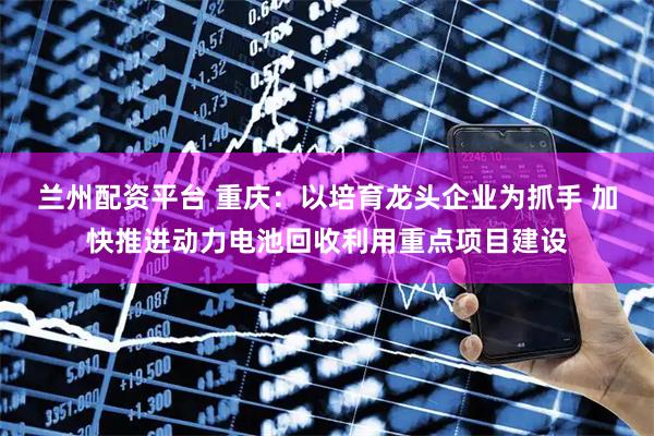 兰州配资平台 重庆：以培育龙头企业为抓手 加快推进动力电池回收利用重点项目建设