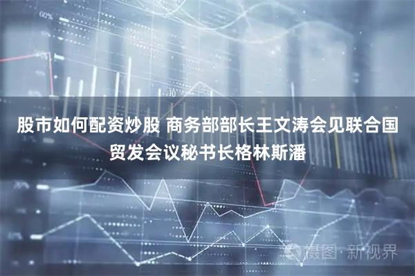 股市如何配资炒股 商务部部长王文涛会见联合国贸发会议秘书长格林斯潘
